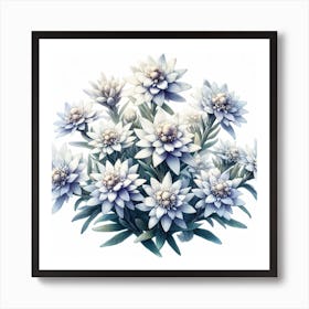 Flowers of Edelweiss 1 Art Print