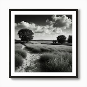 Path In The Field Art Print