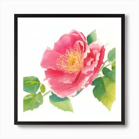 Wild Rose Painted In Watercolor Art Print