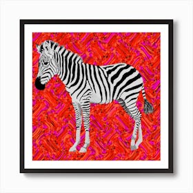 Oh Zebra Square Art Print