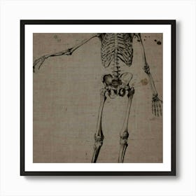 Human Skeleton Art Print