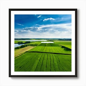 Grass Peace Air Structure Pasture Soy Bean High Country Rural Green Farm Overhead Natur (8) Poster