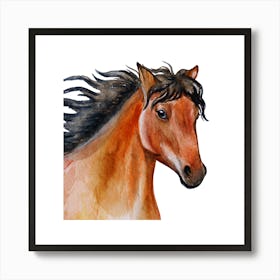 Horse Watercolor Painting.uk 2 Art Print