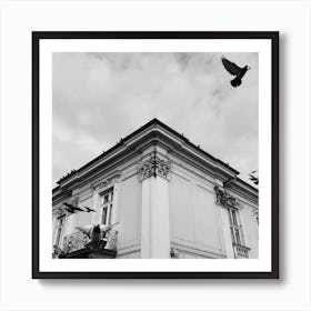 High Flying Bird Art Print