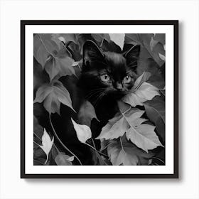 Black and White Black Cat In Leaves 4 Art Print