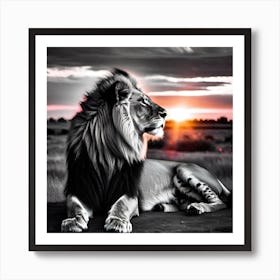 Lion At Sunset 6 Art Print