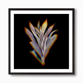 Prism Shift Cordyline Fruticosa Botanical Illustration on Black n.0409 Art Print