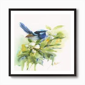 Blue Wren Art Print