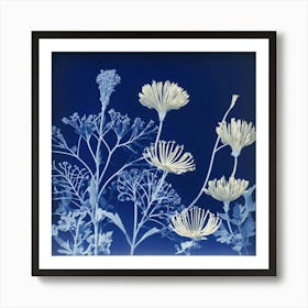 A Gallery Art Photography In Style Anna Atkins Poster