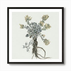 Succulents Art Print