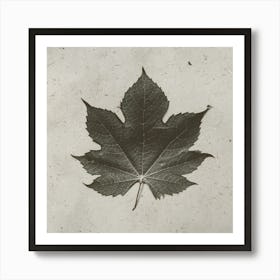 Maple Leaf 1 Art Print