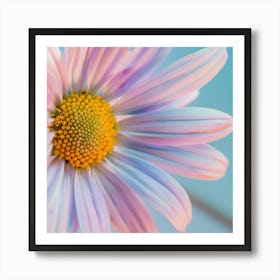 Detail Pastel Colour Chamomile Flower Art Print