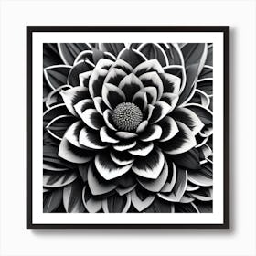 Black And White Flower Art Print