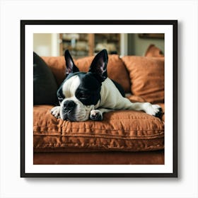 Boston Terrier Sleeping On The Couch (2) Art Print