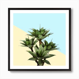 Agave Plant on Lemon and Teal Wall Art Print