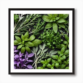 Fresh Herbs On A Black Background Art Print