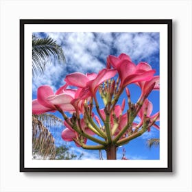 Pink Delight Img 5962 Art Print