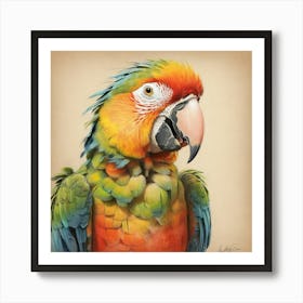 Parrot 47 Art Print