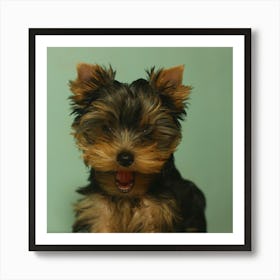 Yorkshire Terrier Puppy Art Print