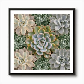 Succulents Geometric Nature Poster