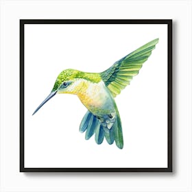 Bird1 Art Print