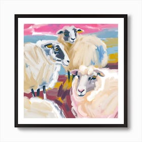 Merino Sheep 01 Art Print