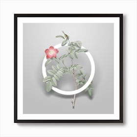 Vintage Pink Alpine Rose Minimalist Flower Geometric Circle on Soft Gray n.0567 Art Print
