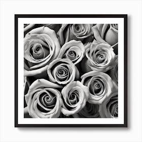 Black And White Roses 22 Art Print