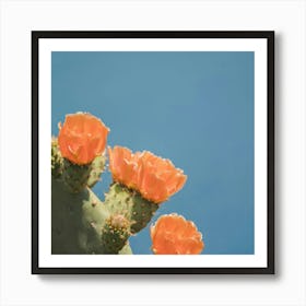 Cactus Flower Art Print