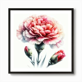 Carnation Flower 2 Art Print