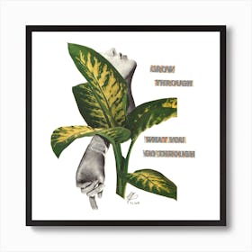 Grow Square Poster