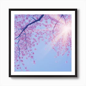 Cherry Blossoms 5 Art Print