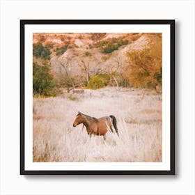 Brown Horse In Desert Art Print