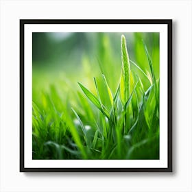 Grass Plant Texture Green Detail Nature Fresh Beautiful Summer Natural Spring Ecology Be (3) Art Print