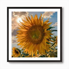 Sunflowers Art Print