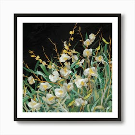 White Orchids Art Print