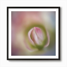 A Close Up Of A Delicategentle Petals Bud Just Beginning To Bloom, With Soft Petals And Hints Of Vib (3) Art Print