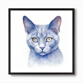 Belarusian Blue Cat Portrait 1 Art Print