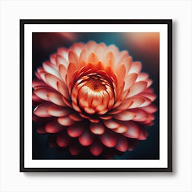 Chrysanthemum Flower 1 Poster