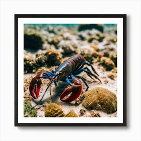 Red Lobster On Coral Reef Art Print