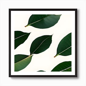 Green Leaves On A White Background Art Print