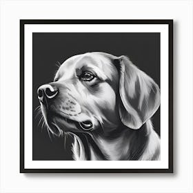 Portrait Of A Golden Retriever Art Print