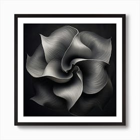 Black And White Flower 1 Art Print