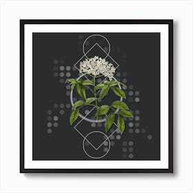 Vintage Elderberry Flowering Plant Botanical with Geometric Line Motif and Dot Pattern n.0123 Art Print