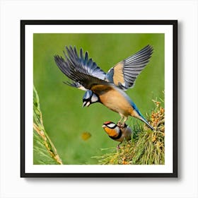 Two Birds Perched On A Branch 3 Poster