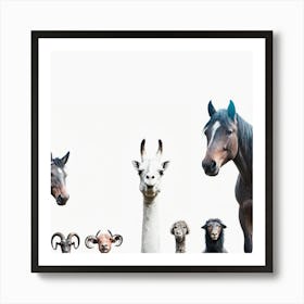 Group Of Animals Art Print