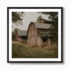 Barn In The Woods Art Print
