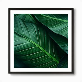 Green Leaves Background 1 Art Print