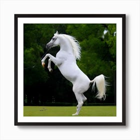 White Horse Standing On Hind Legs Art Print
