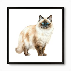 Siamese Cat 4 Art Print